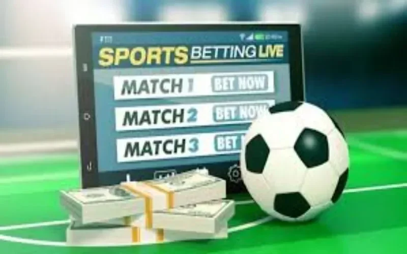 Bí quyết cá cược bất bại tại IM Sports