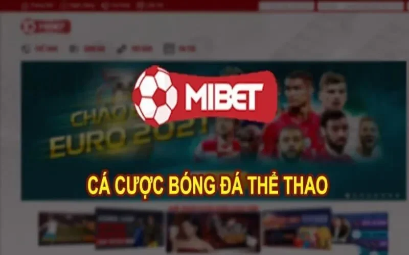 Đôi nét về ứng dụng