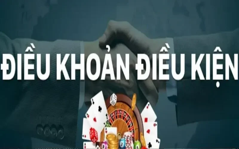 Hé lộ những ưu điểm trong điều khoản điều kiện